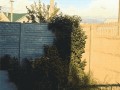 Husky jump