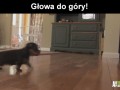 Głowa do góry