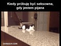 Próbuj dalej