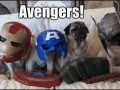 Avengers