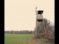 Salto