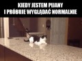 Najgorzej 1