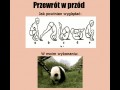 Przewrót w przód