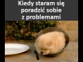 I tak ciągle p