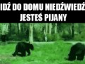 Idź do domu