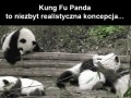 Kung fu panda