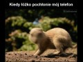 Łóżko Pochłonęło Telefon