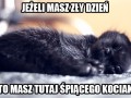 Łap
