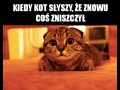 Za każdym razem 1