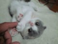 Awwwww