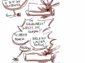 Patologiczna rodzina pajączków