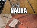 Nauka