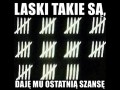 Laski takie są