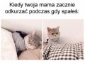 To uczucie 