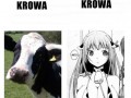 Różnica