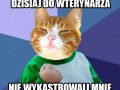 Dzięki