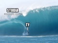Studia