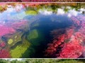 Rzeka pięciu kolorów w kolumbii