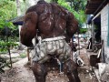 Metalowy hulk
