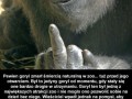 Co zrobiło zoo po śmierci goryla