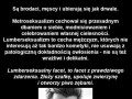 Czas na mężczyzn lumberseksualnych xd