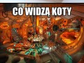Pudełko