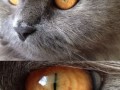 Sauron