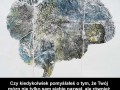 Twój mózg