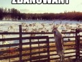 Zbanowany