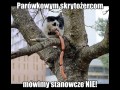 Parówkowym skrytożercom mówimy stanowcze nie