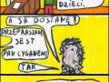 Nie możemy dać panu socjalnego mieszkania