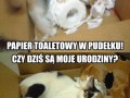 Zaciesz bardzo