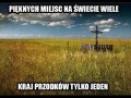 True 1