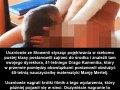 Co robią nauczyciele podczas przerw d