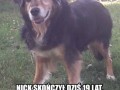Nick 