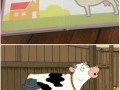 Touch the cow