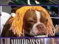 Multipass