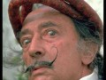 Salvador dali i