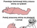 Nie dowiesz się póki nie spróbujesz