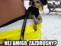 Hej amigo