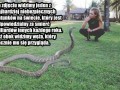 Groźny drapieżnik