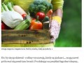 Weganie i wegetarianie czas przrzucić się na wode