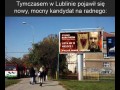 Głosuj na stannisa