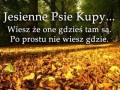 Spacer w jesiennych liściach