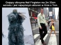 Olbrzym z gry o tron
