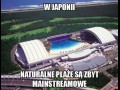 Tymczasem w japonii