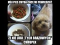 Te brązowe