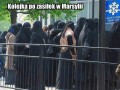 Tymczasem we francji