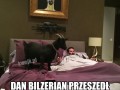 Dan bilzerian przeszedł na islam
