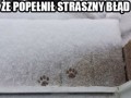 Popełniłeś błąd koteu